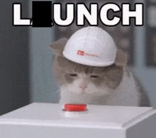 a cat wearing a hard hat is pressing a button with the word launch above it .