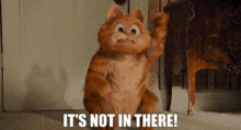 Garfield Its Not In There GIF