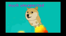 Meme Doge GIF - Meme Doge Corgi GIFs