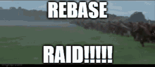 Rebase Raid Rebase Finance GIF - Rebase Raid Rebase Finance GIFs