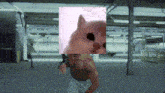 a picture of a cat behind a man 's head