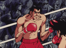 a man in red boxing gloves is standing in a boxing ring