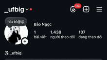 a screenshot of a person 's ufbig account with the number 11438 on it