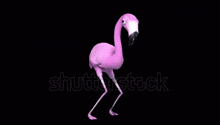 Dancing Flamingo GIF - Dancing Flamingo GIFs