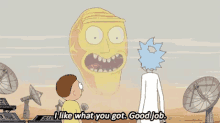 Rick And Morty Goodjob GIF - Rick And Morty Goodjob I Like What You Got GIFs