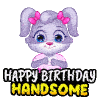 a cartoon bunny says happy birthday handsome with a pink bow