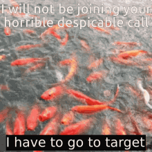Target Fish GIF - Target Fish I Cannot Join Call GIFs