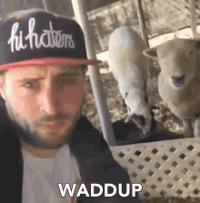 Waddup Whats Up GIF - Waddup Whats Up Whats Going On GIFs