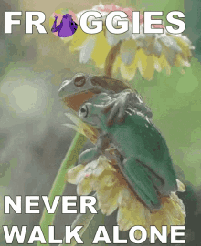 Froggiestoken Froggiesarmy GIF