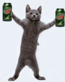 Cat Mountain Dew GIF - Cat Mountain Dew Soda GIFs