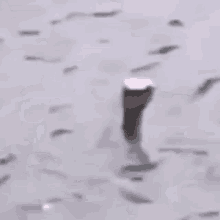 a blurred image of a person standing on a beach with a cup in the foreground .