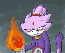 Blaze The Cat Blaze GIF