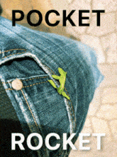 Pocket Rocket GIF