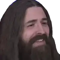 a man with long hair and a beard smiles for the camera