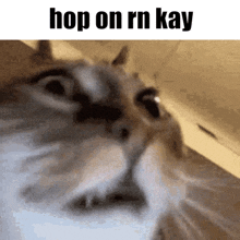 Hop On Kay GIF - Hop On Kay Kay GIFs