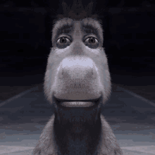 Shrek pegadinha do burro kkk #Meme #bonitos