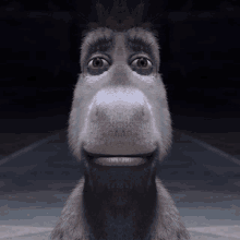 Tá Chegando? E agora, já CHEGOU? - Burro Shrek