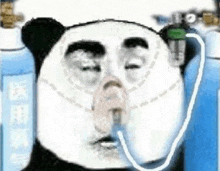 a panda bear is wearing an oxygen mask and holding a bottle of oxygen .