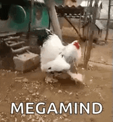 Chicken Giant GIF - Chicken Giant Large GIFs