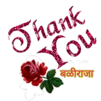 a thank you card with a red rose in the corner