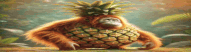 a monkey with a pineapple on its head is sitting on a rock .