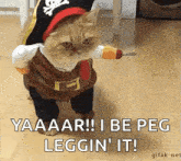 Pirate Cat GIF - Pirate Cat Kitty GIFs