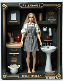 a doll is in a box that says fvleahouse on it