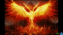 a painting of a phoenix surrounded by flames with pgv written on the bottom
