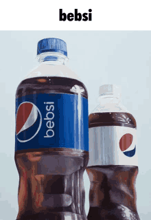 Bebsi Pepsi GIF - Bebsi Pepsi Sobr GIFs