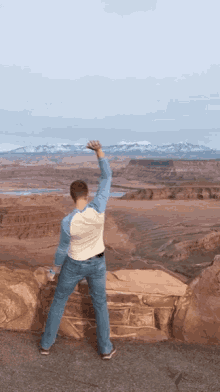 a man in a blue and white shirt stands in front of a desert landscape with mountains in the distance