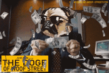 Wsdoge Wolf Of Wall Street GIF - Wsdoge Wolf Of Wall Street Doge Coin GIFs