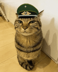 Cat Military GIF - Cat Military GIFs