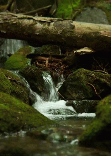 waterfall-stream.gif