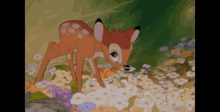 Flower Bambi GIF - Flower Bambi GIFs