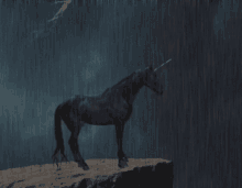 Black Unicorn GIF - Black Unicorn Rain GIFs