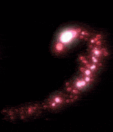 a blurred image of a heart made of pink lights