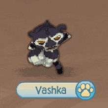 a cartoon drawing of a black and white animal with the name vashka below it