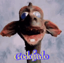 Godofredo GIF - Godofredo GIFs