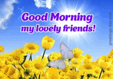 Good Morning Friend Flowers GIF - Good Morning Friend Flowers Butterflies GIFs