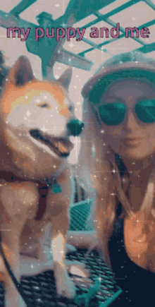 Bravo My Puppy And Me GIF - Bravo My Puppy And Me Shiba GIFs