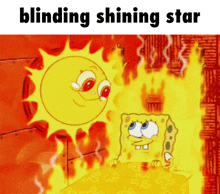 Blinding Shining Star Hawaii Part Ii GIF - Blinding Shining Star Hawaii Part Ii Isle Unto Thyself GIFs