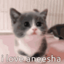 I Love You Aneesha GIF