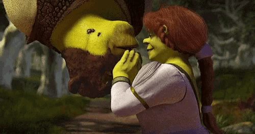 Shrek And Fiona's Love Story