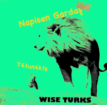 Wıse Turks GIF - Wıse Turks T4tun4kts GIFs