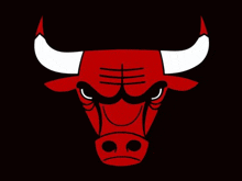 Chicago Bulls Bull GIF