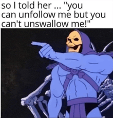 a cartoon of a skeletor pointing at someone with the caption " you can unfollow me but you can 't unswallow me