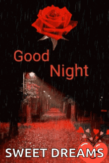 Good Night GIF - Good Night Rosesgif GIFs