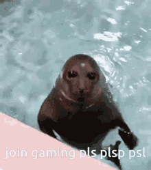 Join Gaming GIF - Join Gaming GIFs