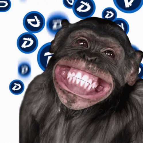 chimpanzee teeth
