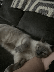 Tired Cat GIF - Tired Cat GIFs